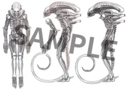 GOOD SMILE COMPANY Figma Alien: Takayuki Takeya Ver. -Figure Model 0da78d99574b4e96ab3443e000790781.jpg