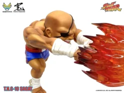 Street Fighter T.N.C. 10 Sagat -Figure Model 192d772332ef4b53b2abd4ba662609eb.jpg