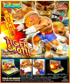 Street Fighter T.N.C. 10 Sagat