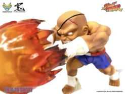 Street Fighter T.N.C. 10 Sagat -Figure Model 8a13f24d279b44e0b2e94341e0b61391.jpg
