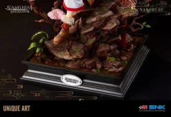 Samurai Shodown Nakoruru 1/6 Scale Figure -Figure Model a154c1a0c06946659bf13ae0e1971fbf.jpg